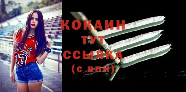 СК Алексин