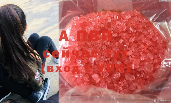 ГАЛЛЮЦИНОГЕННЫЕ ГРИБЫ Балашиха
