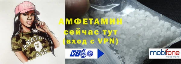СК Алексин