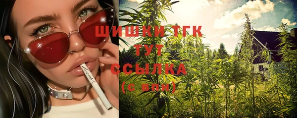 СК Алексин