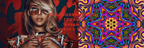 прущая мука Алзамай