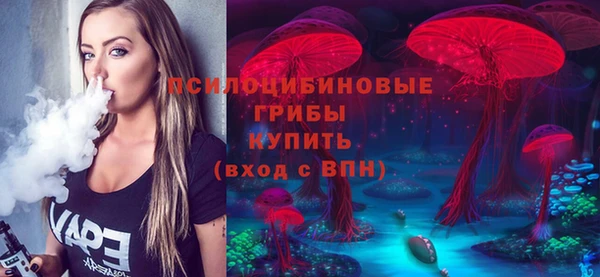 прущая мука Алзамай