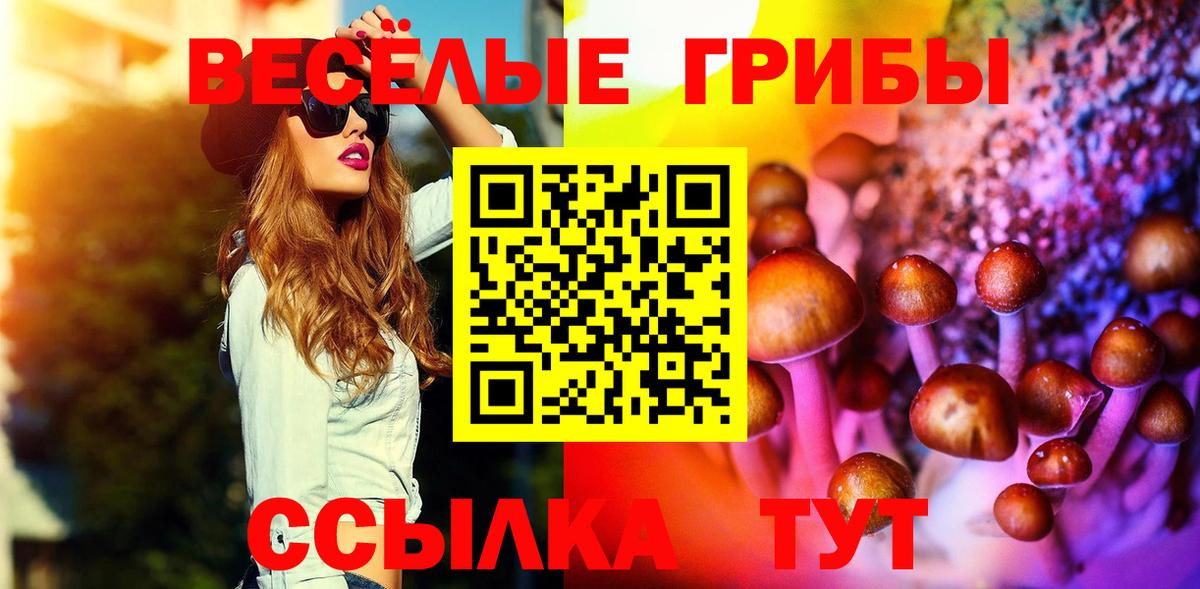 Псилоцибиновые грибы мицелий  Вход с VPN  Псилоцибиновые грибы MAGIC MUSHROOMS  Южно-Сахалинск 